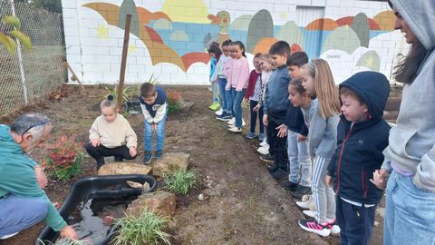 Premio provincia de Lugo. CPI Virxe do Monte. �Act�a xa!�. Un proxecto �sensible e participativo� levou o premio de Lugo para este colexio de Cospeito. Coidaron a s�a horta, fixeron compost, reciclaron, recolleron lixo na s�a contorna e estudaron a biodiversidade na s�a charca escolar. Tam�n coidaron e protexeron a lagoa de Cospeito, un extenso humedal que estudan cada ano