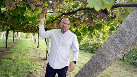 Miguel Tub�o sost�n que a agricultura rexenerativa pode ser interesante para o vi�edo galego