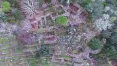 V�deo: Presentaci�n do proxecto �As Adegas da Memoria�