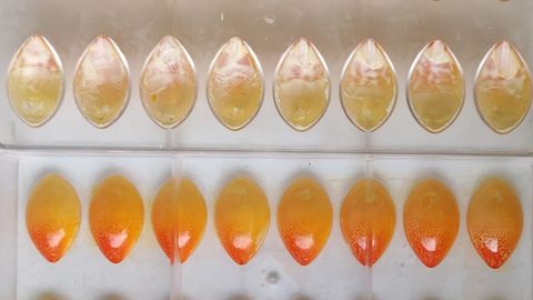 �Atapecer�, de Verde Menta, el segundo mejor bomb�n de Asturias 2024