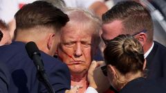 Imagen de Donald Trump herido tras el ataque en julio del 2024.