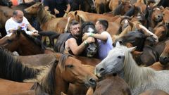 El espect�culo de la rapa