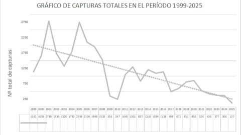 Gr�fico de capturas totales de salm�n entre 1999 y 2025