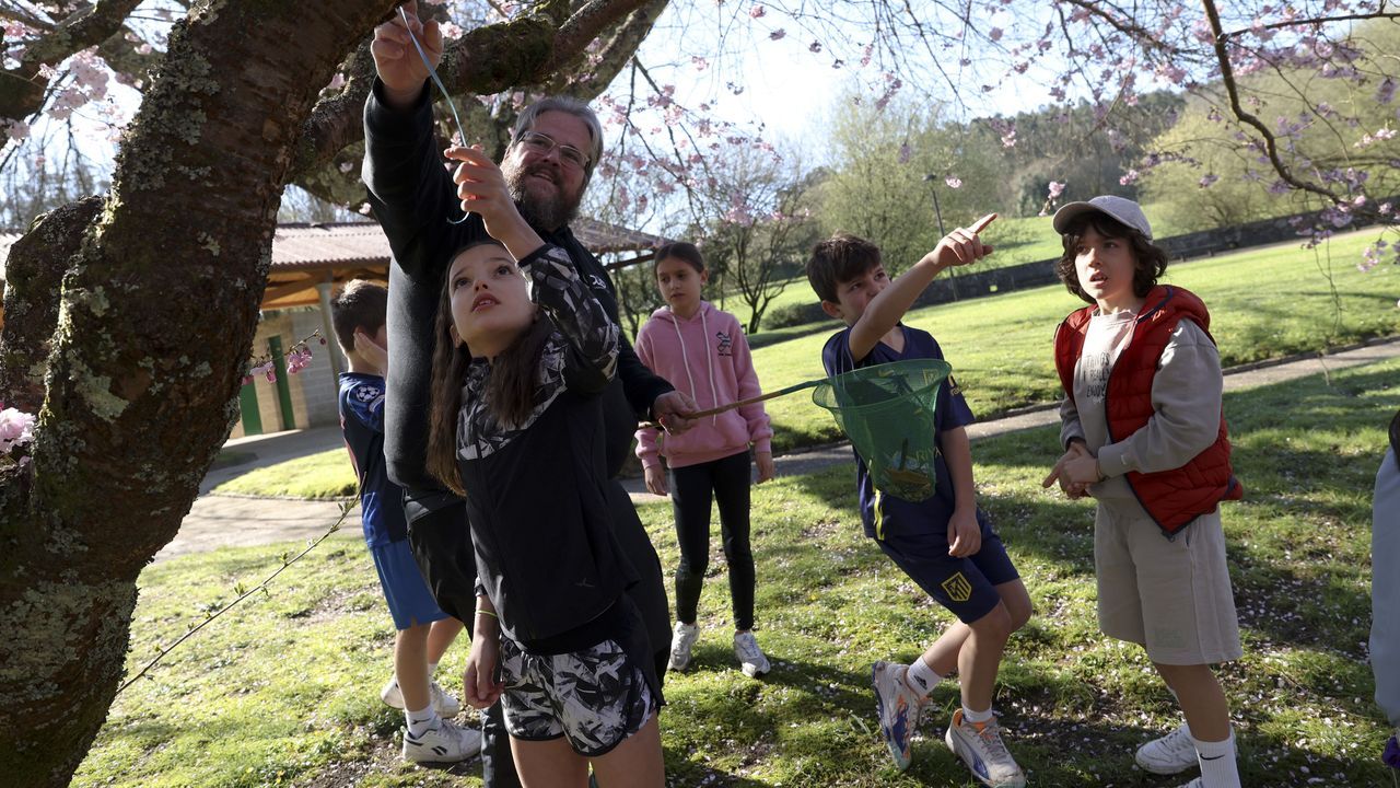 Limpiar Tapia, una tarea más del Agro do Muíño para fomentar el cuidado del entorno natural de Ames