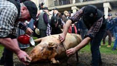 Matanza Tradicional do Porco en Lal�n