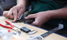 Medici�n de una de las aves