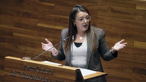 La portavoz de Vox en el Parlamento asturiano, Carolina Lpez