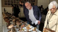 La asociaci�n Andoa celebr� en el 2022 su �ltima exposici�n de setas (en la imagen). En el 2023 el Concello no pudo celebrar la Semana Micol�xica