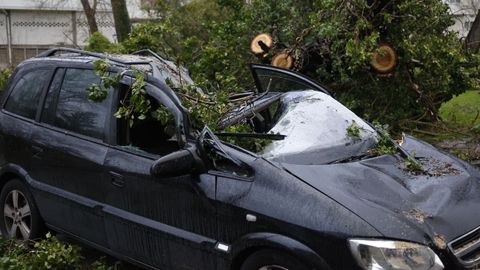 Coches daados en Vilaboa, Culleredo, por la cada de un gran rbol