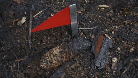 Una piedra, una lata, una pi�a en el suelo pueden ofrecer mucha informaci�n. Pero el investigador solo la tendr� en cuenta si el objeto est� en su cama, es decir, sigue en el mismo lugar que cuando pas� el fuego.