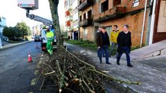 El alcalde de Pontevedra, a la derecha, visit� los trabajos de poda de �rboles que se ejecutan en Monte Porreiro