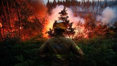 �Por qu� arde tanto Portugal?