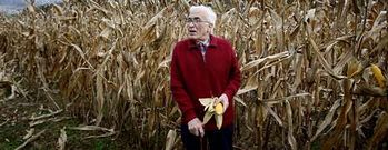 Xos� Neira Vilas en la finca de ma�z de Vila de Cruces (Pontevedra) que le inspir� �Memorias dun neno labrego�.