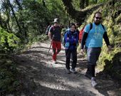 Este a�o, el paso de peregrinos por la ruta es constante. 