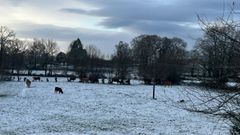 En Os Vilares (Guitiriz) se ve�a esta ma�ana una ligera nevada