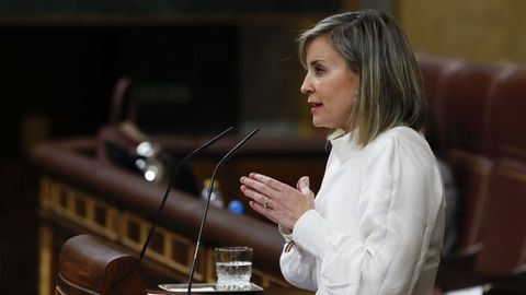 Vernica M. Barbero, esta semana, en el atril del Congreso.