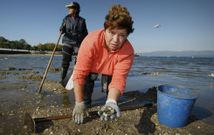 La semana pasada, las mariscadoras redoblaron esfuerzos al detectar gran cantidad de cr�a. 