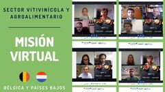 Misi�n virtual organizada por la CEO