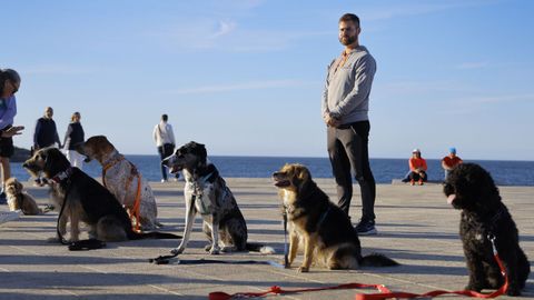 Adrin Paredes, adiestrador canino en Candamin, en Cambre. 