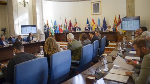 Pleno de la Diputacin de Lugo