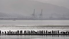 Mariscadoras en la r�a de Pontevedra