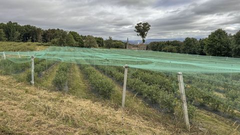 Finca de Pazos de Soutomaior