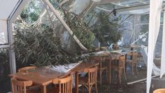 Las ramas cayeron sobre el lateral izquierdo de la terraza cubierta, con la estructura de metal y metacrilato destrozado