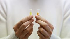 Sensor desarrollado por la Universitat Polit�cnica de Valencia (UPV)