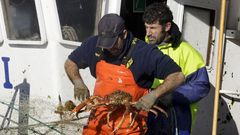 Un barco de O Grove, el puerto de la flota de centolla m�s numerosa, en plena faena