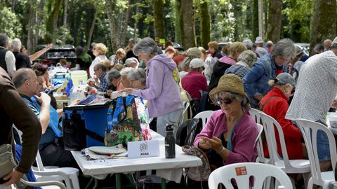 Ambiente na carballeira de Santa Isabel no Convivio da Cultura Galega de Outeiro de Rei