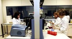 Trabajo en el Cl�nico, en un laboratorio adscrito al IDIS