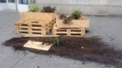 Da�os causados en la exposici�n 