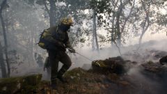 Un bombero forestal trabajando en la extincin  del incendio del pasado septiembre en el can del Cabe