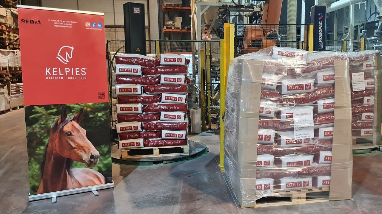 Sedia Innovación patenta desde Teixeiro un muesli para lechones que despierta interés fuera de Galicia