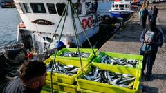 Un cerquero desembarcando sardinas a finales de junio en Portosn