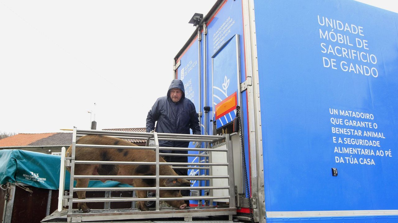 El matadero móvil de Medio Rural ofrecerá un servicio de despiece y envasado para facilitar la venta directa desde las explotaciones