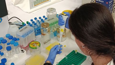 Investigadora del ISPA en un laboratorio. Investigaci�n cient�fica.