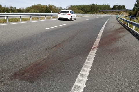 Restos del acccidente que sufrieron dos lucenses al chocar contra un jabal en la A-54