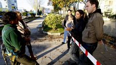 Tala de �rboles en el barrio Coia en Vigo