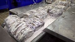 Calamares capturados en el Atl�ntico sur llegan congelados a Galicia.