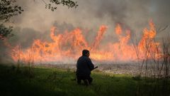 DUROS ANTECEDENTES. Ocurrido fuera de la temporada de verano, el fuego que afect� a los municipios de Rianxo y Dodro en marzo devor� 1.162 hect�reas. De hecho, las parroquias de Leiro e Isorna se han incorporado directamente al listado de zonas priorizadas.