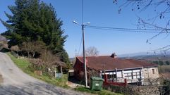 Los pinos est�n a diez metros de las casas y en un terrapl�n situado a m�s altura