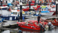 Buena parte de la flota permaneci� amarrada al puerto por el estado del mar