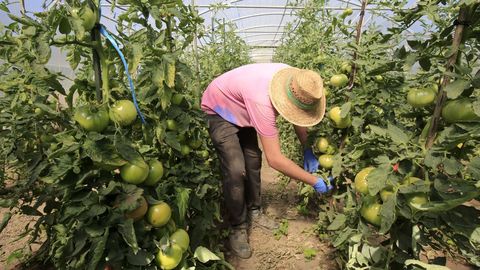 Una granja ecolgica en Barreiros