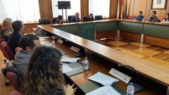 Detalle de la reuni�n que tuvo lugar este mi�rcoles en el sal�n de plenos