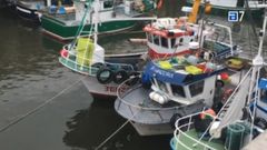 La �Bramadoria�, el barco del concejal de IU asesinado Javier Ardines