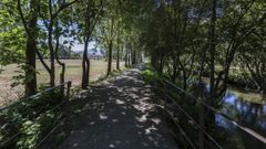 Resultado de la limpieza de las orillas del T�mega en Ver�n