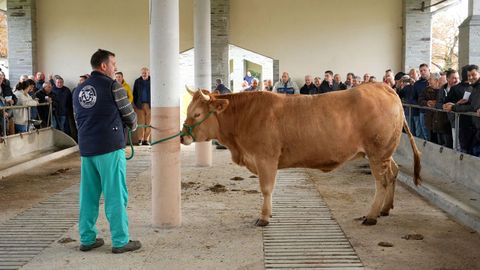 Acruga cerr� este martes su temporada anual de subastas