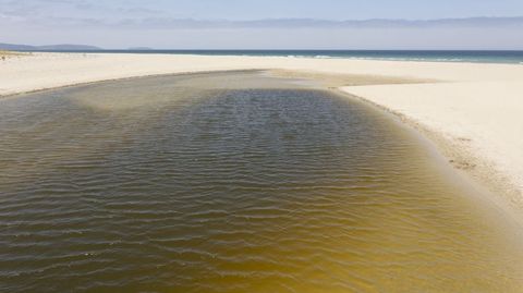 Imagen del agua tomada a comienzos de esta misma semana 