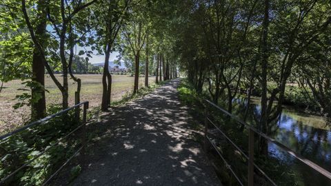 Resultado de la limpieza de las orillas del T�mega en Ver�n